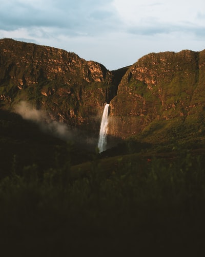 Forests in the middle of the waterfall
